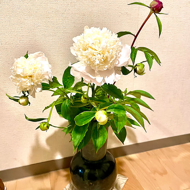 maminさんの実例写真