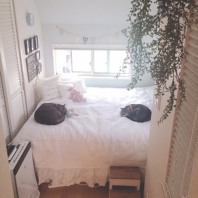 lovecatさんの実例写真