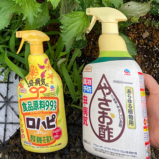 amyさんの部屋