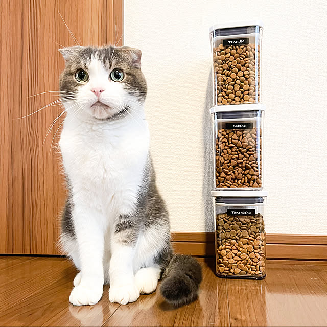 tansukeさんの実例写真