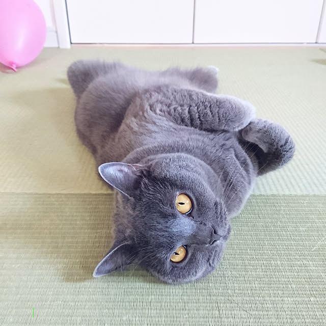 takiko0407さんの実例写真