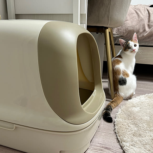 mocaさんの部屋