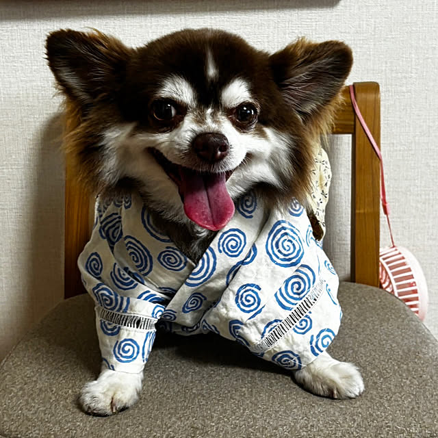 chIoeさんの部屋