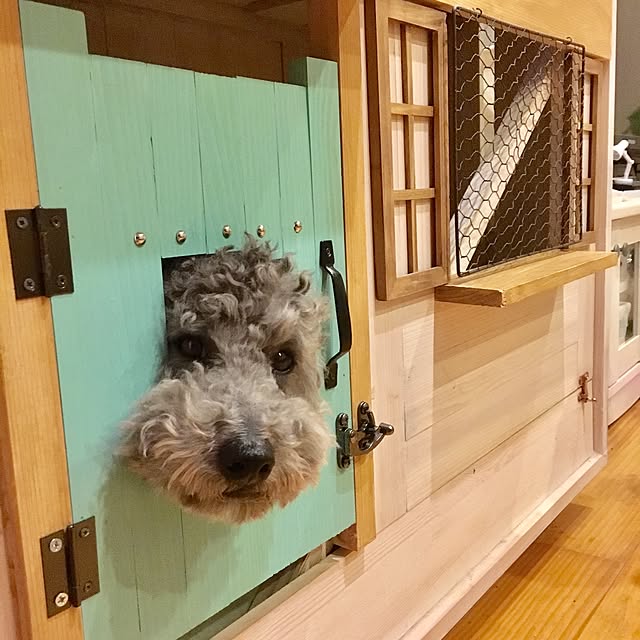 makoriさんの実例写真