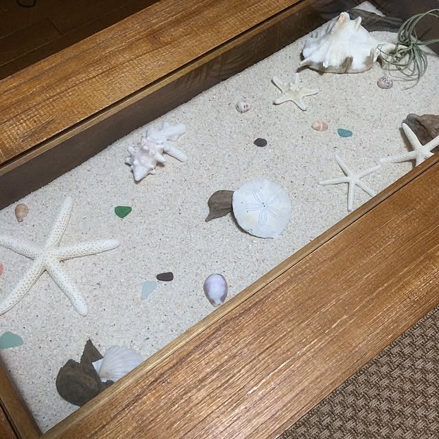 Tomominさんの実例写真