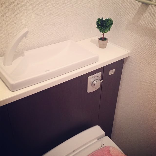 mayatanさんの実例写真