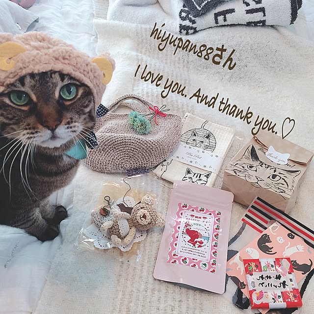 lovecatさんの実例写真