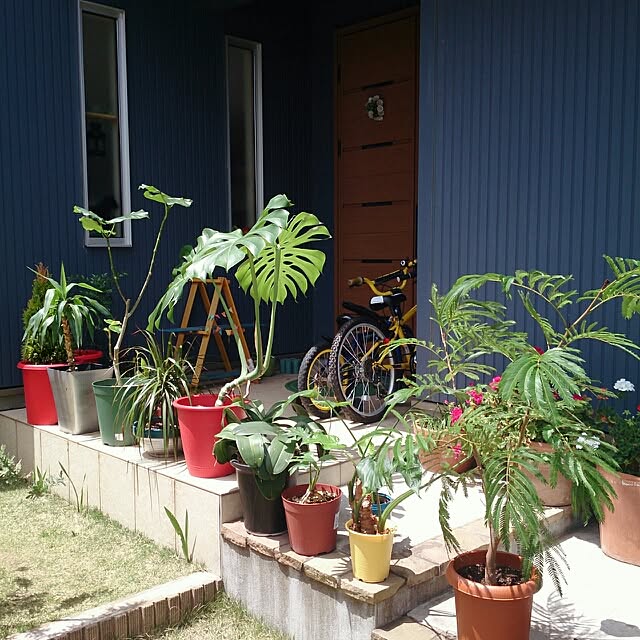 urchinさんの実例写真