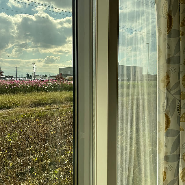 chiiyanさんの部屋