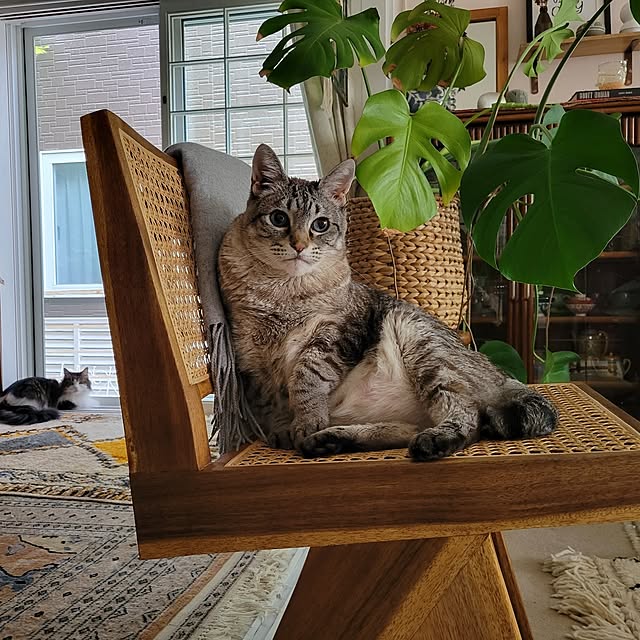 neoさんの実例写真