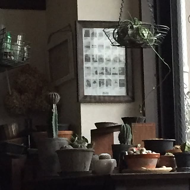 kinachanさんの実例写真