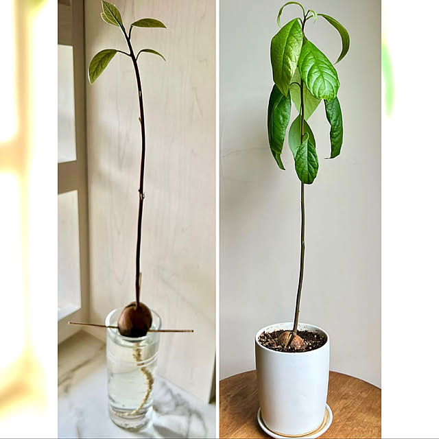 sachieyさんの部屋