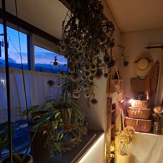 midoriさんの部屋