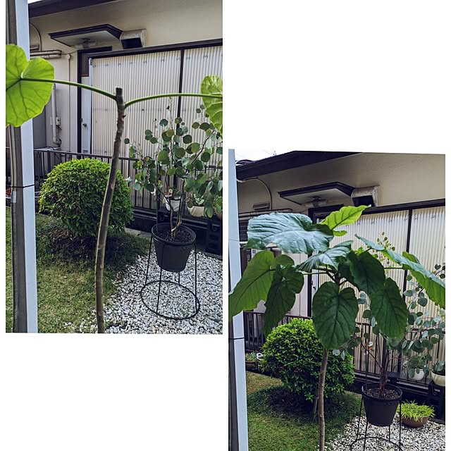 Renさんの実例写真