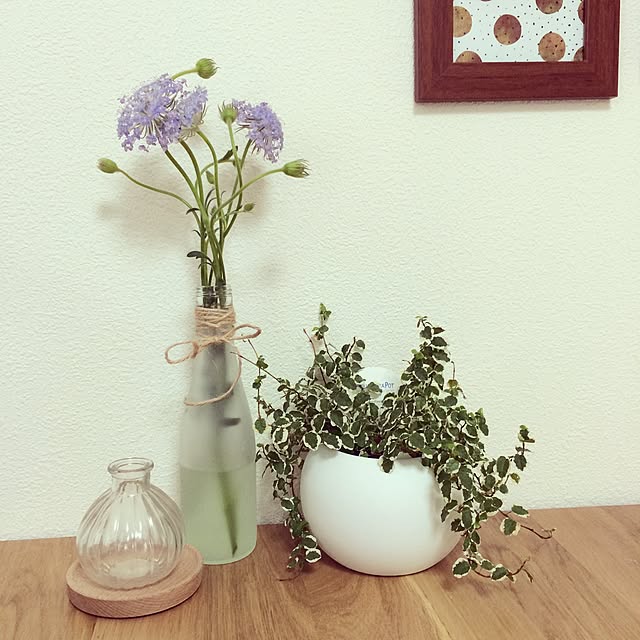 リビング/植物/DIY/セリアのインテリア実例 - 2015-05-08 22:40:02
