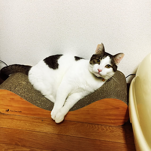 natsuminchuさんの実例写真