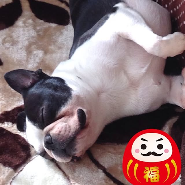 sanaさんの実例写真