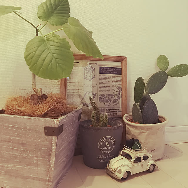 Browncafeさんの実例写真
