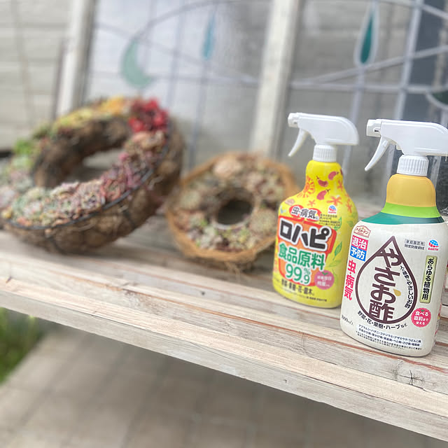 na-chanさんの部屋