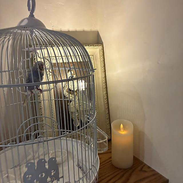 sakuraさんの部屋