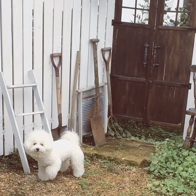 happy_bridgeさんの実例写真