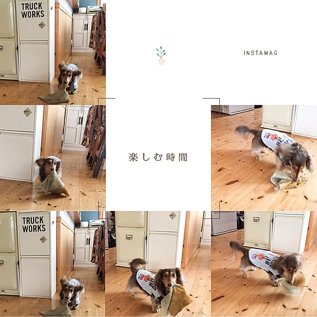 yupponさんの実例写真