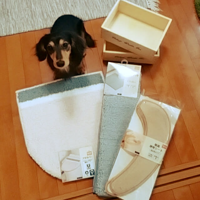 reonさんの実例写真