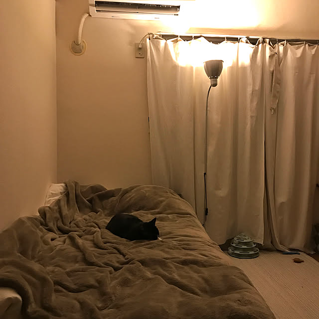meiさんの実例写真