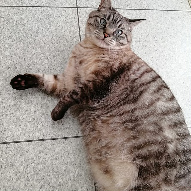 Manaさんの実例写真