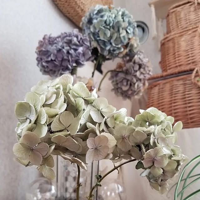 midoriさんの実例写真