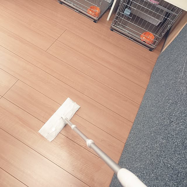 noguriさんの実例写真