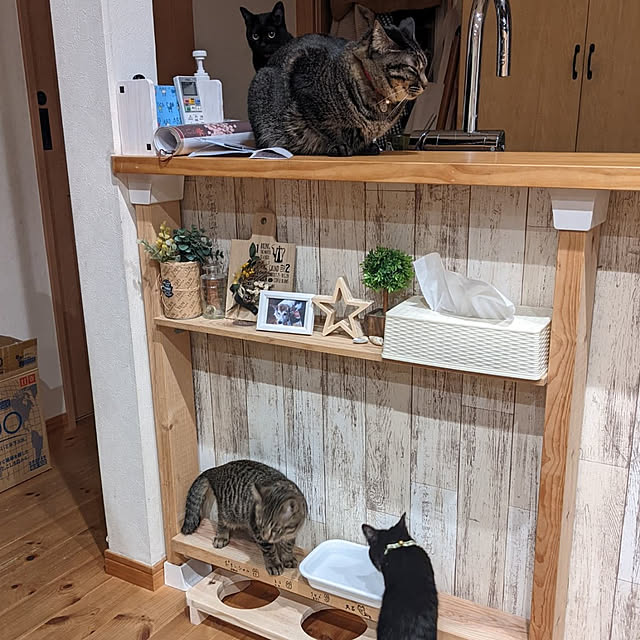 jacky-m-さんの実例写真