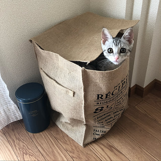 Honamiさんの実例写真