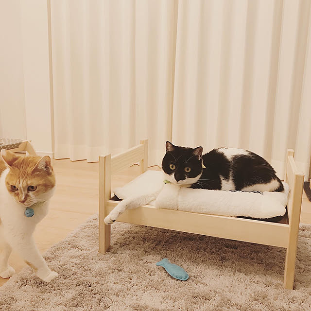 Yさんの実例写真