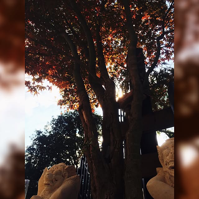 87さんの実例写真