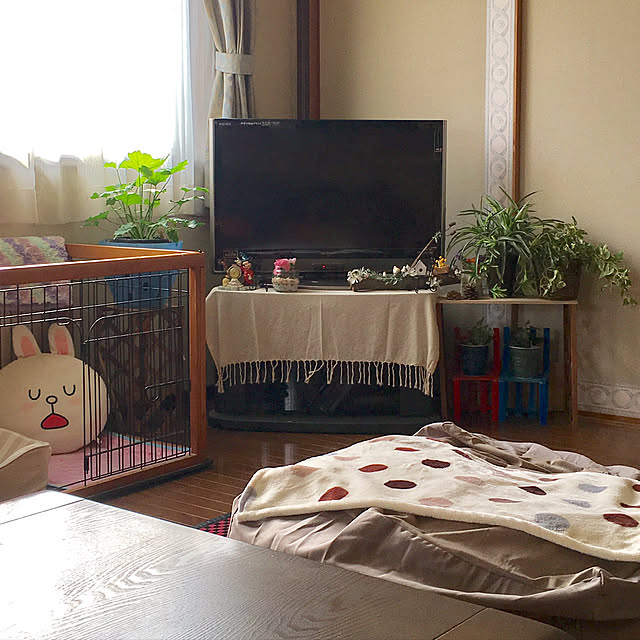 MIYUさんの実例写真
