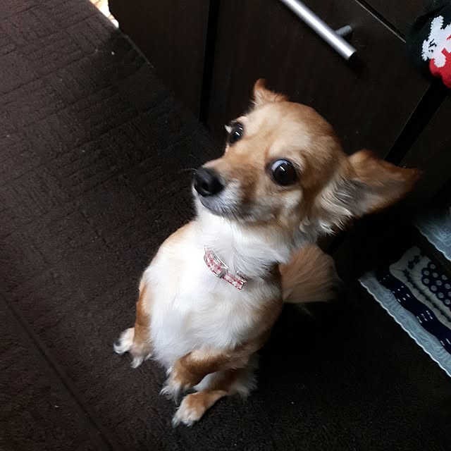 keikoさんの実例写真