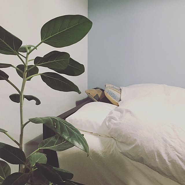 nanaさんの実例写真