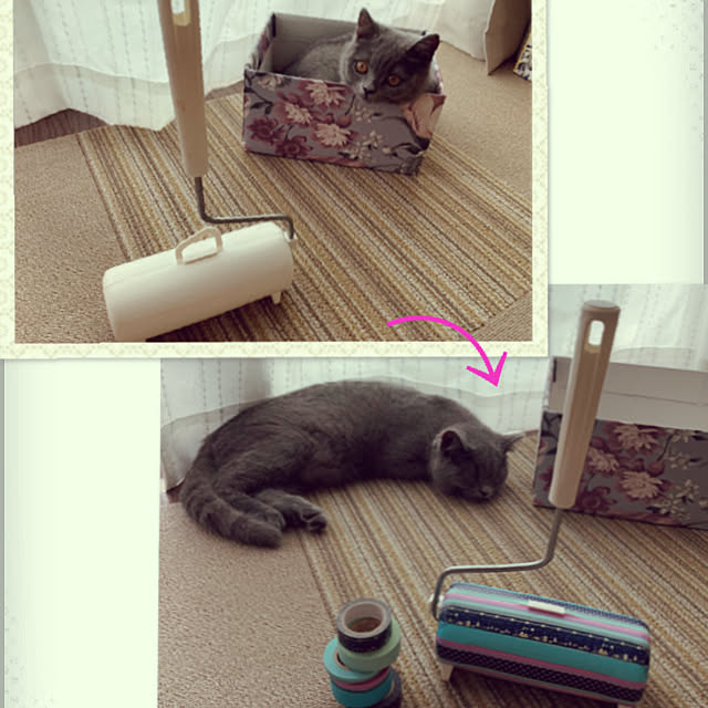 kittyさんの実例写真