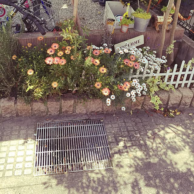 LALANAさんの実例写真