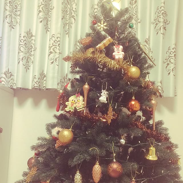 Sakuraさんの実例写真