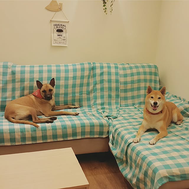 hahamiya365さんの実例写真