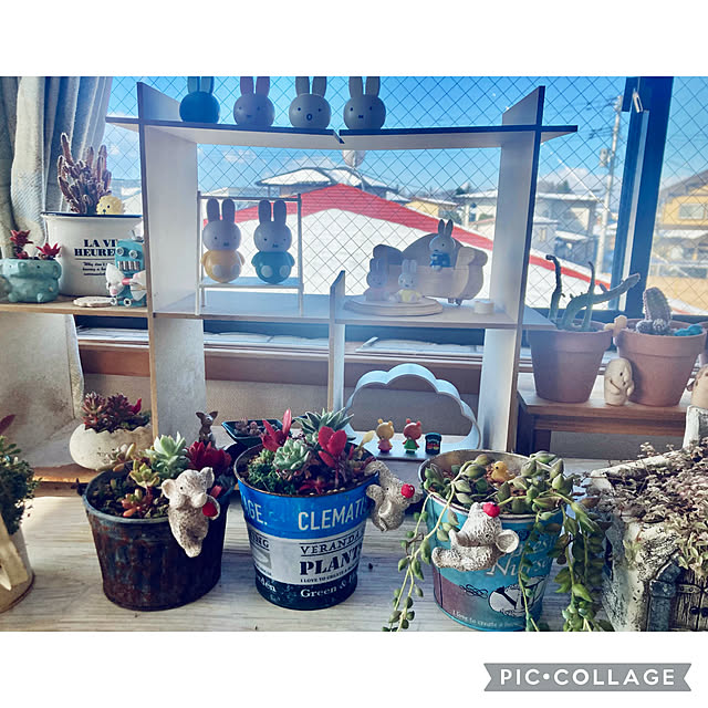 CoCo0617さんの部屋
