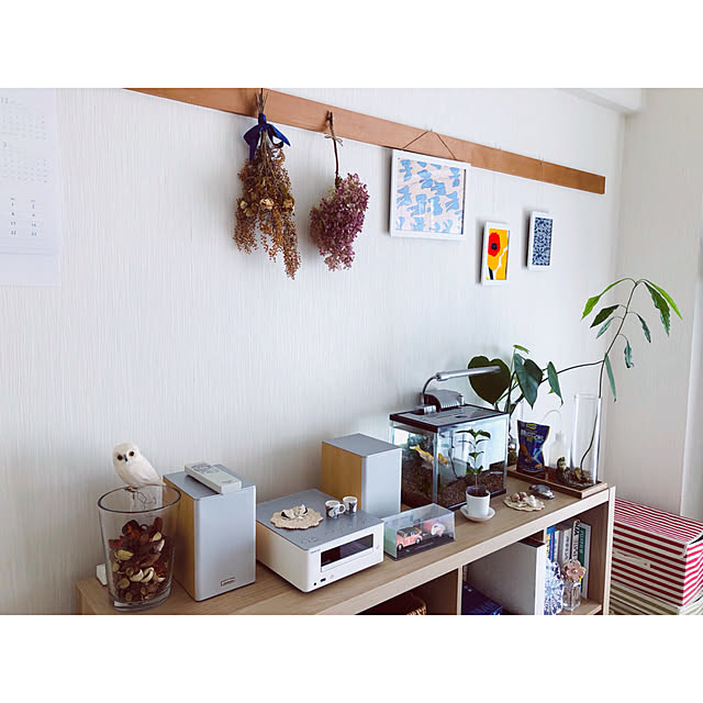 tomanu31さんの実例写真