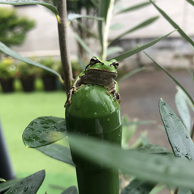 実例写真