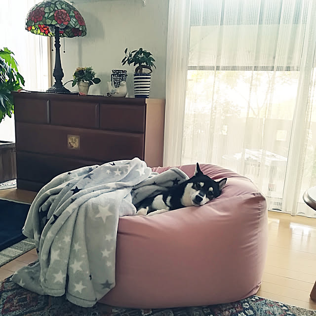 Yuzuさんの実例写真