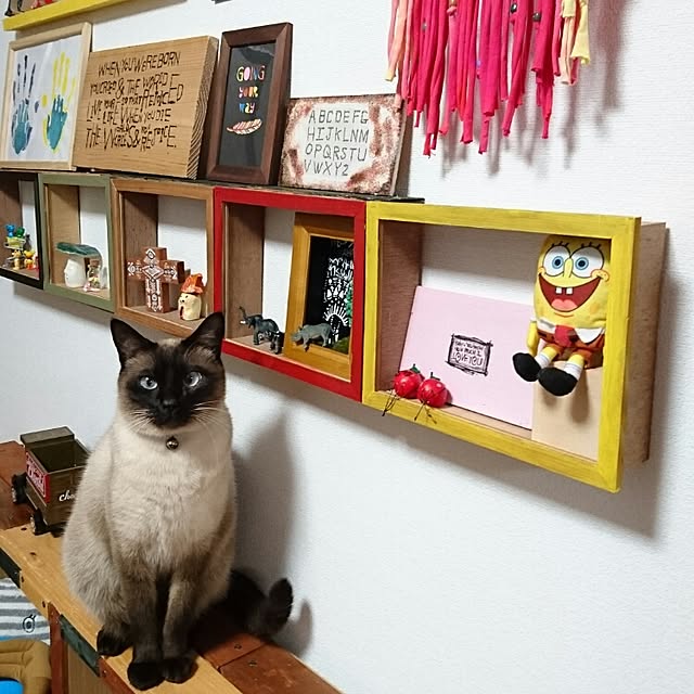 kazunokoさんの実例写真
