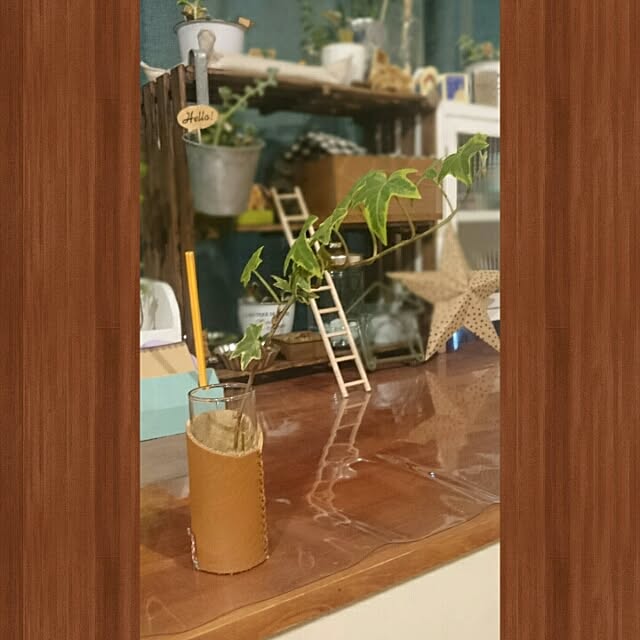 macoさんの実例写真