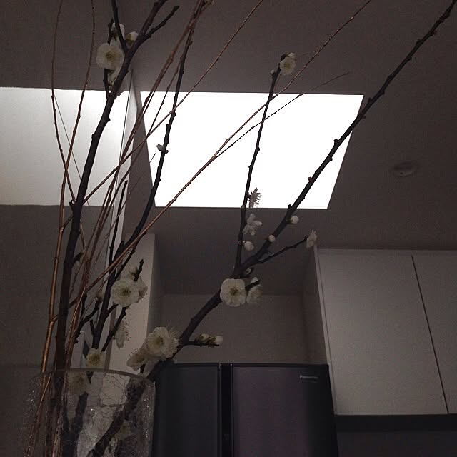 toocoさんの実例写真