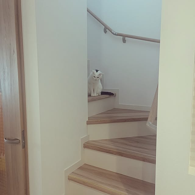 shiratamaさんの部屋